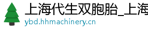 上海代生双胞胎_上海供卵代生公司_上海机构	